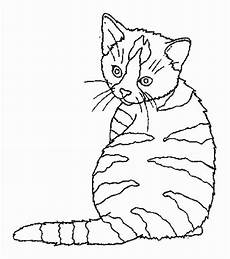 malvorlagen katze kostenlos katze malvorlagen kostenlos zum ausdrucken ausmalbilder malvorlagen katze kostenlos katze malvorlagen kostenlos zum ausdrucken ausmalbilder