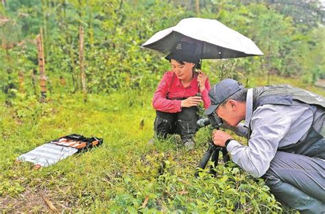 福建科研人员在宁夏发现大型真菌新物种