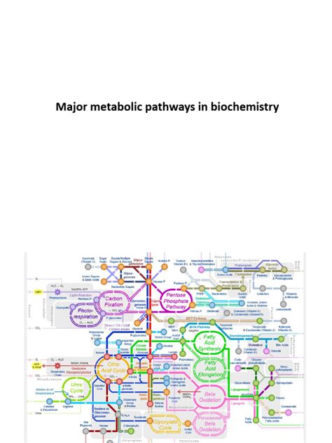 Biochemistry 的图像结果