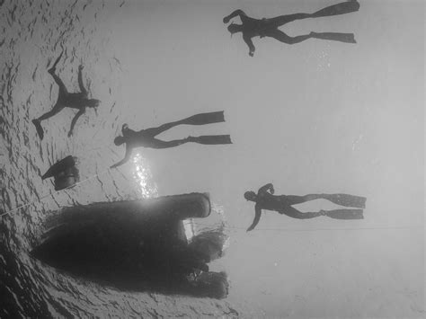 OCEAN FREEDIVING LANZAROTE (2026) All You Need to Know BEFORE You Go ...