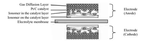 Fuel Cell Structure 的图像结果