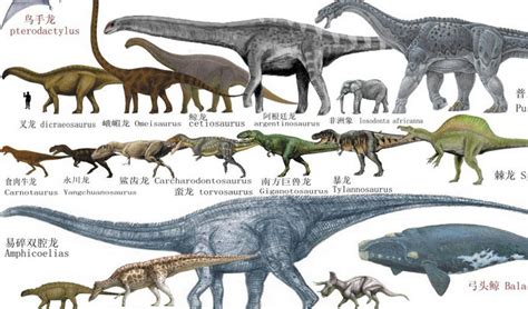 长脖子的恐龙叫什么名字 - 业百科