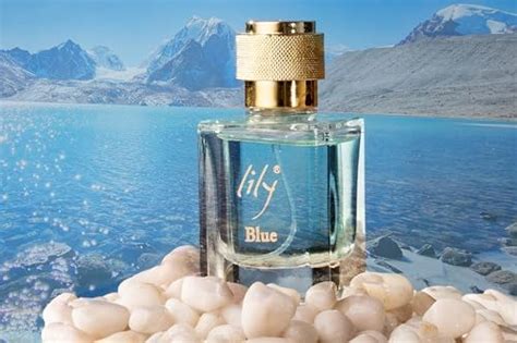 Buy Lily Blue Luxury Perfume with Ozonic, Aquatic, Floral, Lawender ...