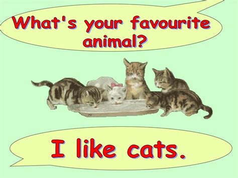 Image result for Cat Command in Shell Script