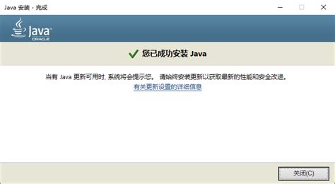 Java Runtime Environment JRE 1.8 的图像结果