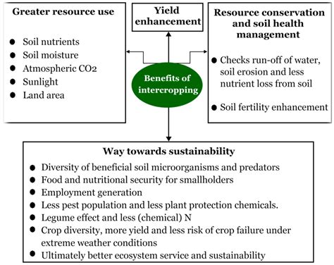 Intercropping—A Low Input Agricultural Strategy for Food and Environmental Security