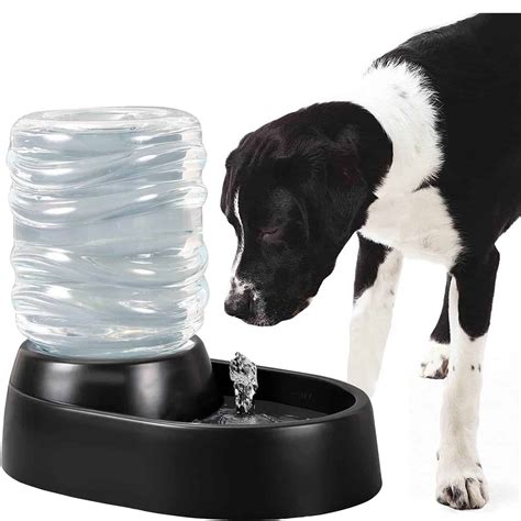 Best Large Dog Water Dispensers in 2026 - Pros & Cons