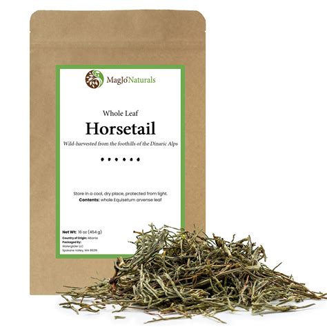Magjo Naturals Horsetail Herb Shavegrass Whole Leaf Dried Equisetum ...