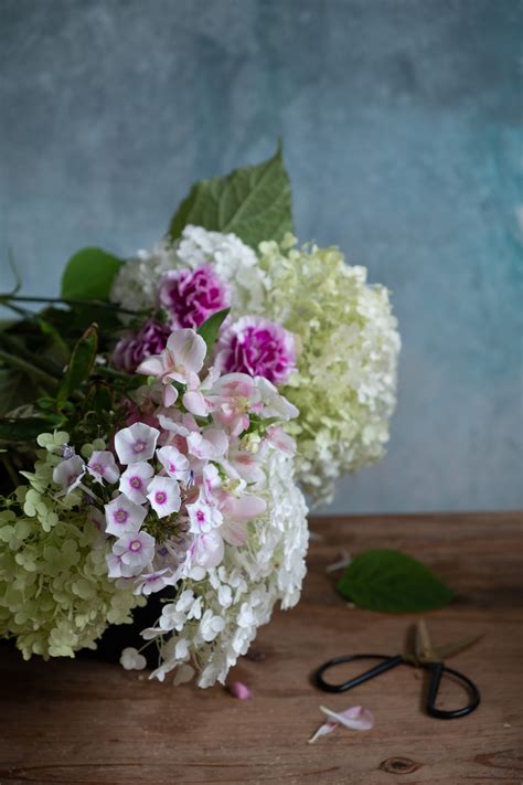 Image result for Creating Backdrops for Photography