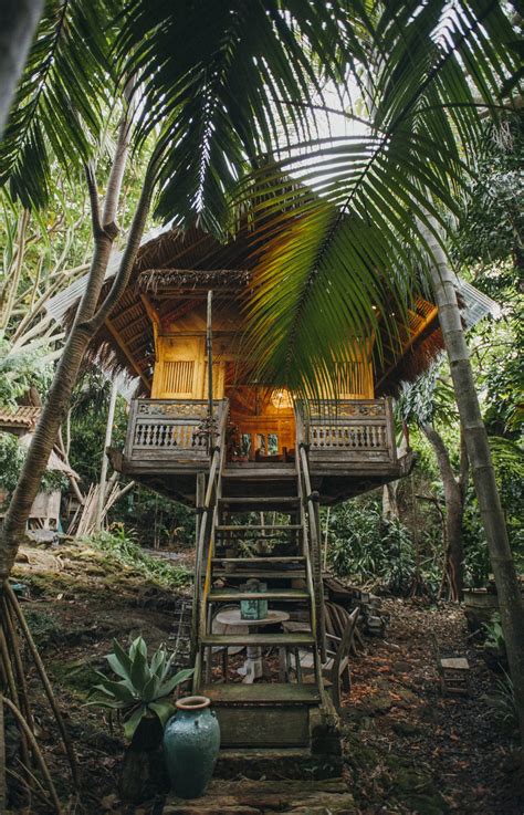 A rustic hawaiian home has a treehouse swing beds and lots and lots of gorgeous greenery – Artofit