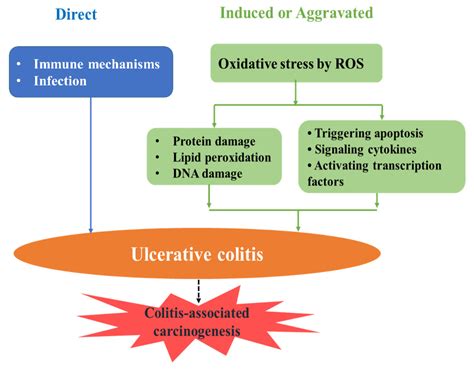 Triggers for the Nrf2/ARE Signaling Pathway and Its Nutritional ...