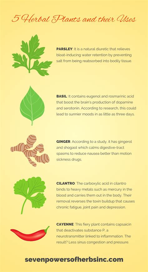 herbal medicine list and uses