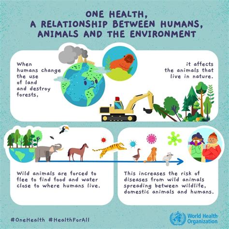 Image result for One Health CDC