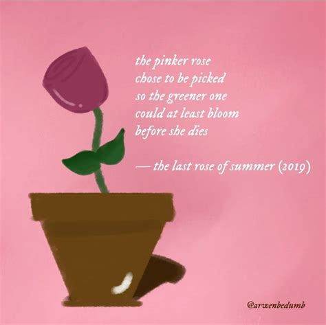 Pink Rose Poem | Beautiful Poetry About Roses