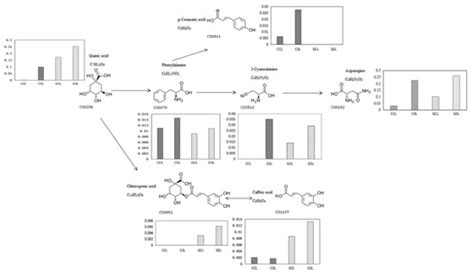 Metabolomics and Transcriptomics Analyses of Two Contrasting Cherry ...