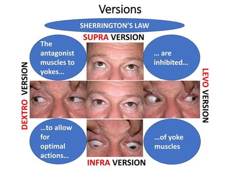 Image result for Machine Learning Feature Quality
