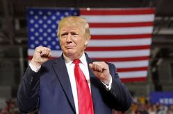 Image result for images trump