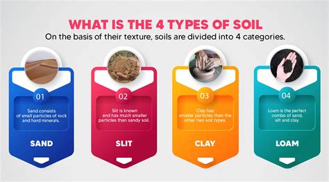 Types of Soil In India And Their Uses For Different Crops
