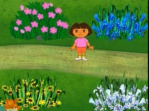 Hide and Go Seek | Dora the Explorer Wiki | Fandom