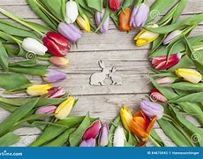 Image result for Tulips and Bunnies