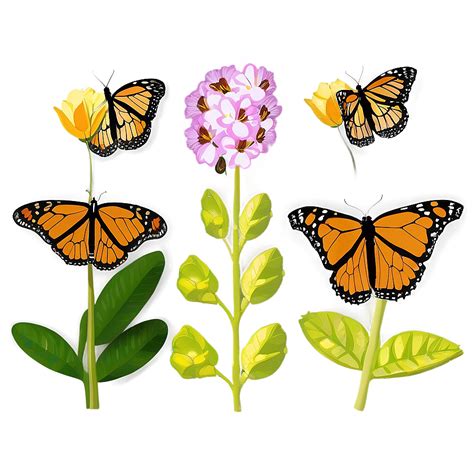 Image result for Spring Butterflies PNG
