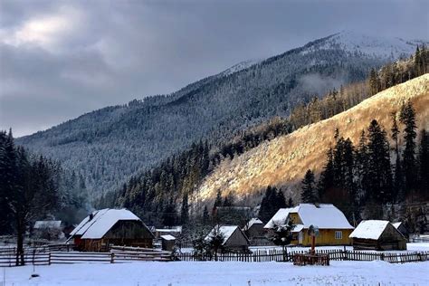 Зима в Україні 2021 - опубліковані яскраві фото снігових Карпат та ...