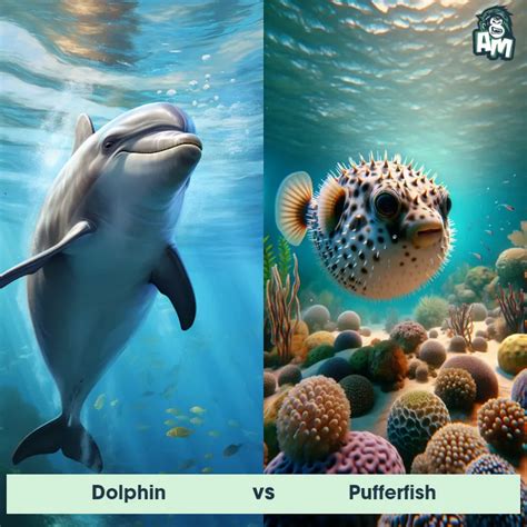 Image result for Dolphin vs Python