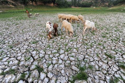 农业水危机步步逼近 “渴”农业路在何方_半月谈网