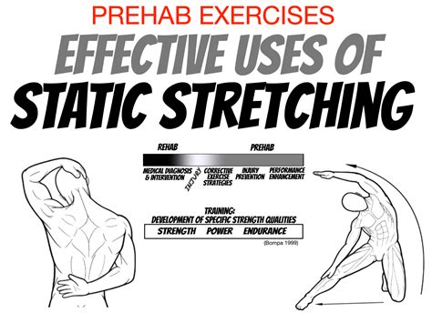 Image result for Static Stretching Exercises