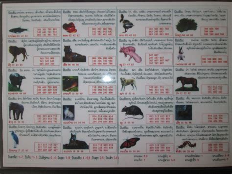 Image result for Alien Gooo Stem