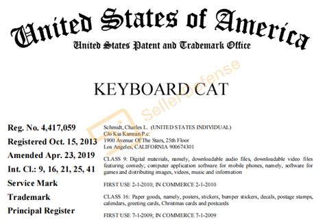 敲键盘的猫 － 小专栏