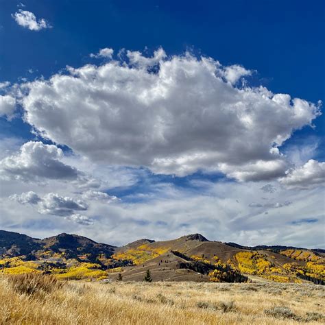 IMG_5278 | Maxine Mayer | Flickr