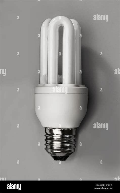 Energy Light Bulb 的图像结果