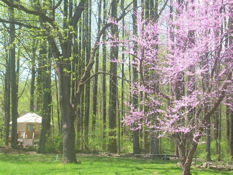 Image result for Springtime Quotes