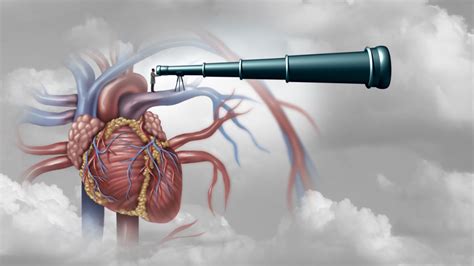 Image result for Full Animation On Heart Function