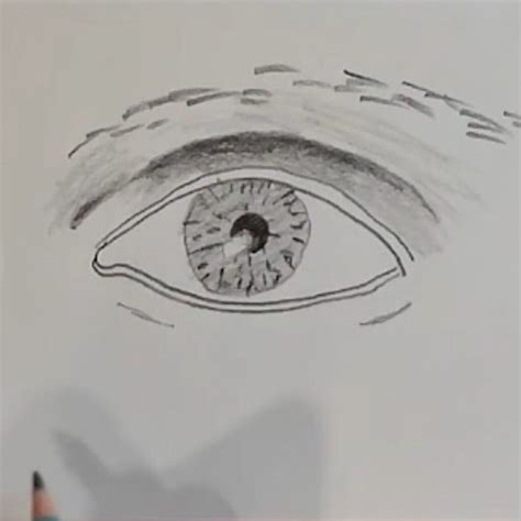 Image result for Simple Eye Drawing Tutorial
