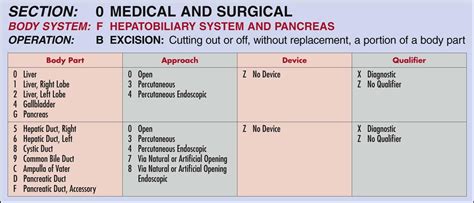Image result for Steps in Values Coding PDF