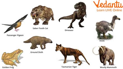 Image result for 5 Extinct Animals