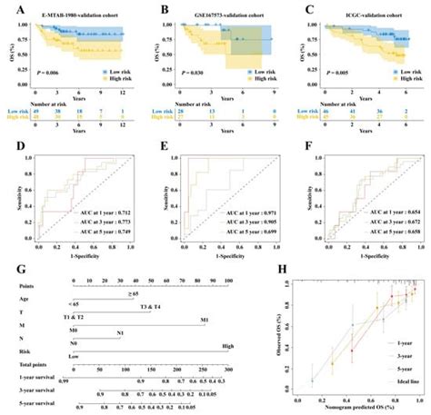 IJMS | Special Issue : Tumor Microenvironments: Molecular Mechanisms ...