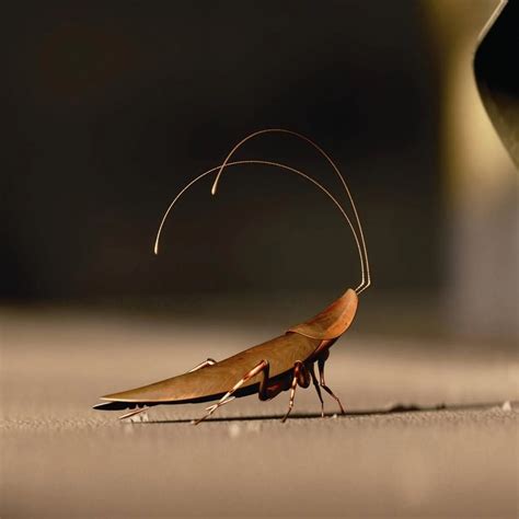 Wall-e Cockroach In Wreck It Ralph - Monthly Merchandise Report ...