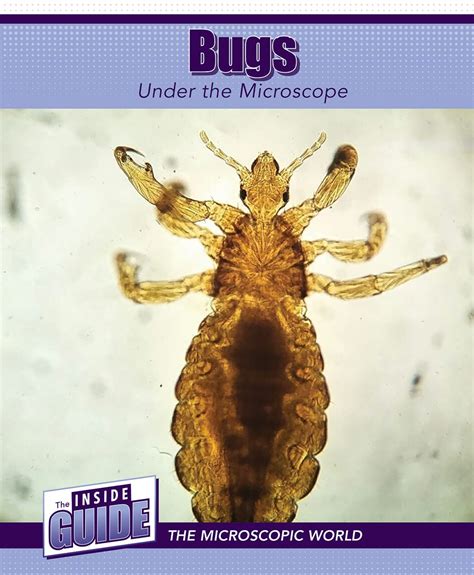 Bugs Under the Microscope (Inside Guide: The Microscopic World ...