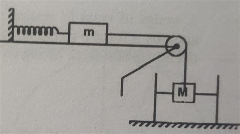Simple Harmonic Motion Problems 的图像结果