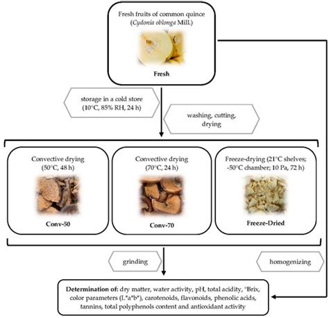 Effect of Various Drying Methods on Physicochemical and Bioactive ...