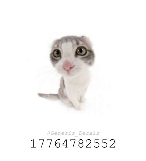 Free Huge Cat Code Roblox 的图像结果
