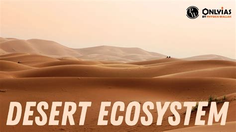 Ecosystem Of Desert