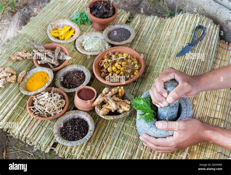 Ayurvedic Herbal Medicine 的图像结果