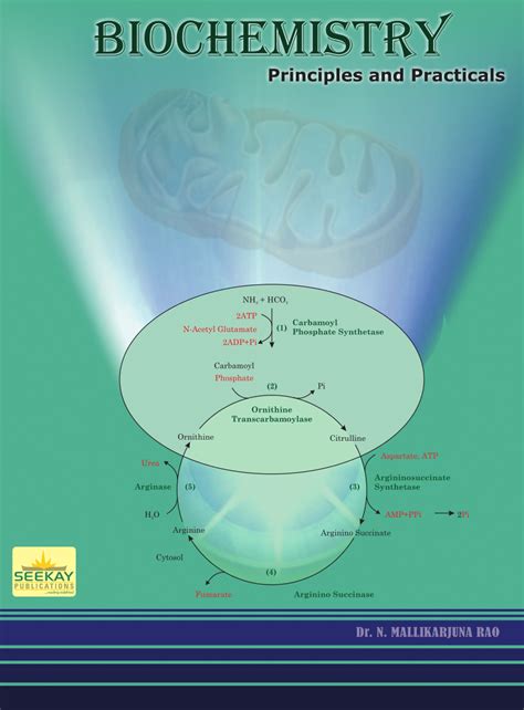 Biochemical Principles 的图像结果