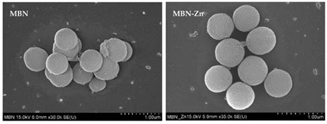 Effects of Zn-Doped Mesoporous Bioactive Glass Nanoparticles in Etch ...
