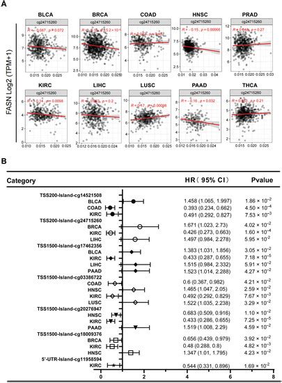 Comprehensive Analysis of FASN in Tumor Immune Infiltration and ...