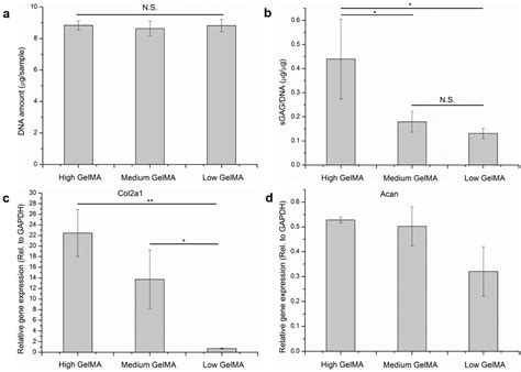 3D Culture of Chondrocytes in Gelatin Hydrogels with Different Stiffness